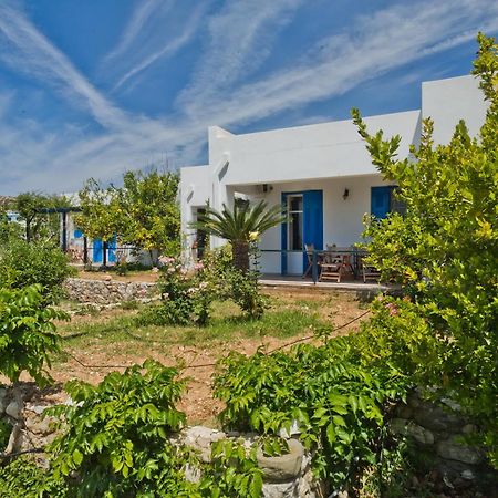 Pleiades Apartments Lefkos  Exterior photo